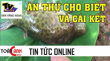 Ngộ độc cá nóc vì... ăn thử cho biết - ĐIẾC KHÔNG SỢ SÚNG là có thật | Sen Vàng Tivi