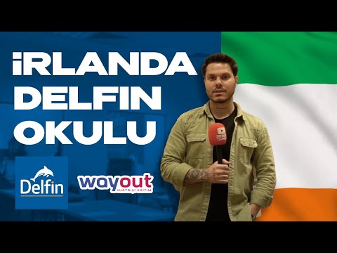 DELFİN İRLANDA DİL OKULU - İRLANDA DİL OKULLARI @SezerYilmaz