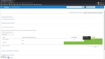How to Grant UAccess Financial Account Access to Lab Members