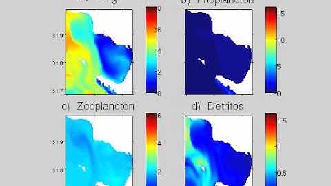 Todos Santos Bay: NPZD model