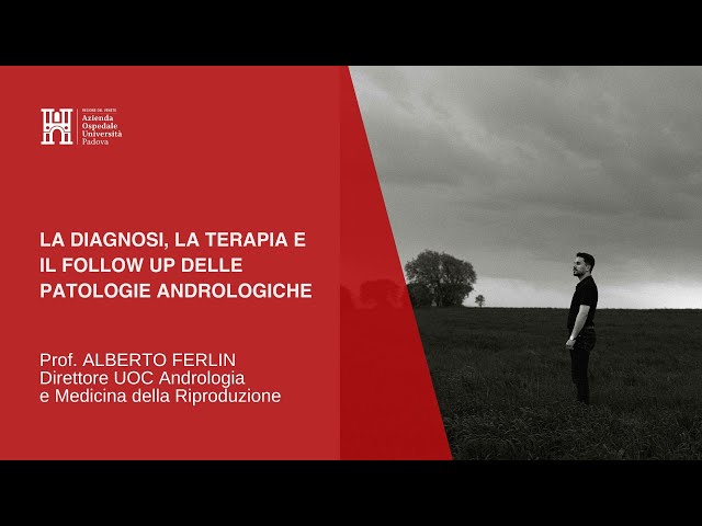 La diagnosi, la terapia e il follow up delle patologie andrologiche.