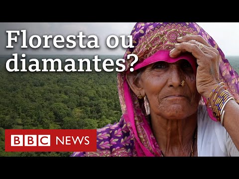 Vídeo: Onde estão as florestas na Índia?