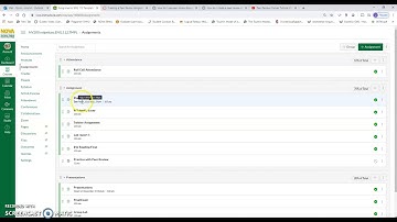Canvas for NOVA Faculty: Peer Review Assignments and Discussions