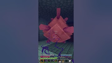 Minecraft Guide: How to get Tide Armor Trim #shorts #minecraft #shortvideo #tutorial #memes #gaming