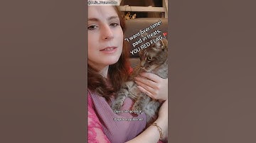 Art Community Scammer Profile Tips #shorts