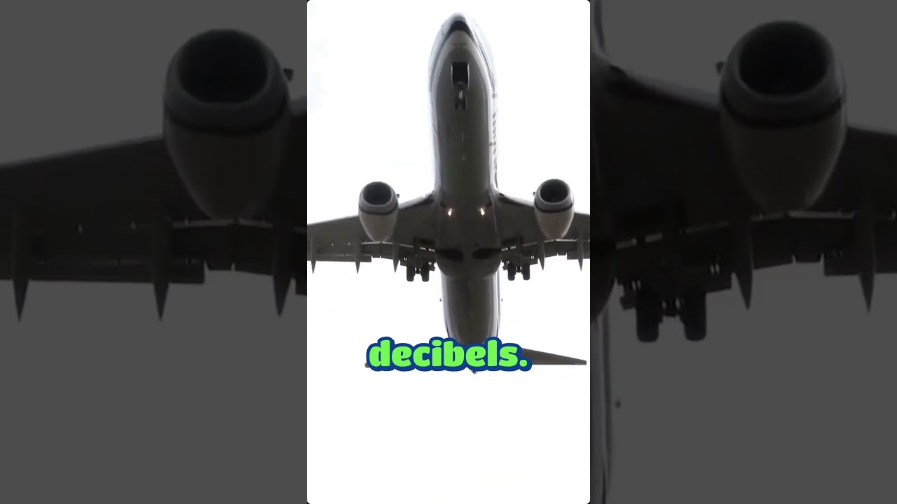 Резкое сокращение численности популяции со 125 000 до 3 000 особей и история коммерческого китобо...