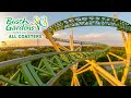 Busch Gardens Tampa Bay ALL Roller Coasters {4K 2021} Horizon Locked