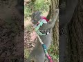 머슬💪키운 고양이😹야생퓨마가 돼…😂 #shorts #shortsvideo #funnycats #catlife #cutecat