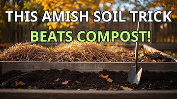 Stop Filling Raised Beds with Compost — The Amish Fall Shortcut That Builds Richer Soil Naturally