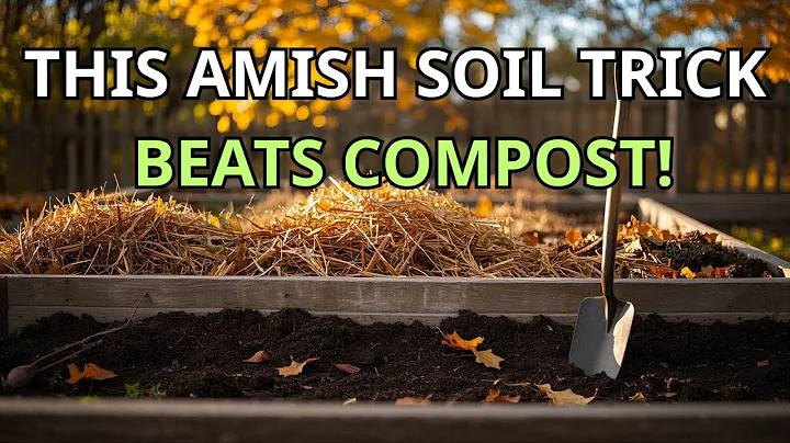 Stop Filling Raised Beds with Compost — The Amish Fall Shortcut That Builds Richer Soil Naturally