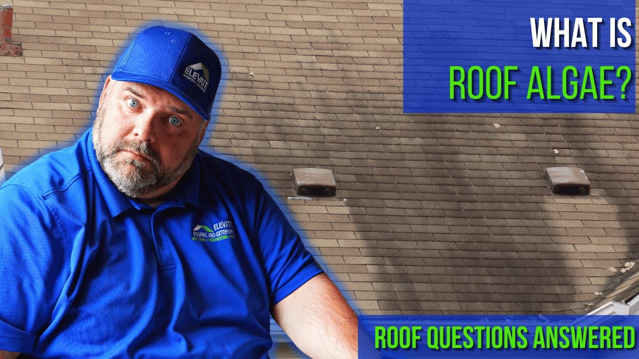 What is black stuff on my roof? What is roof algae? Ask your roofer