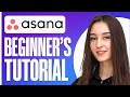 Full asana project management tutorial for beginners 2024
