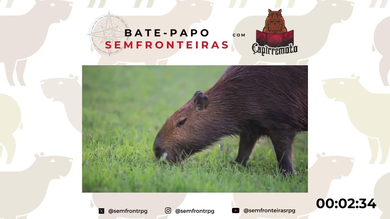 Capirremoto - 18º Bate-Papo SemFronteiras - 25/11/2023