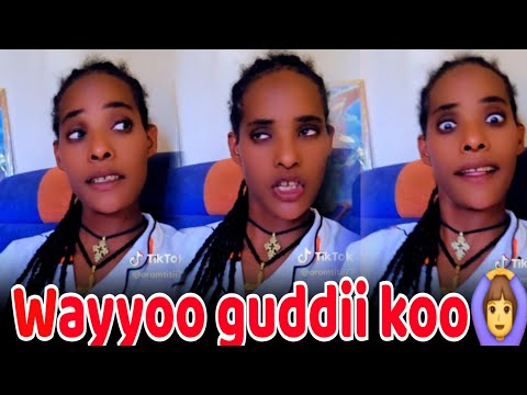 Wayyoo Salphinaa Koo Guddii Taane Oromoo Koo