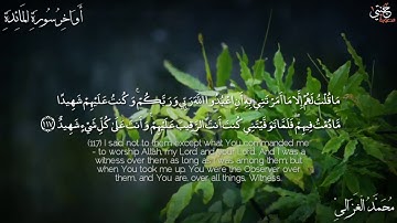 [ وَإِذْ قَالَ اللَّهُ يَا عِيسَى ابْنَ مَرْيَمَ ... ]  القارئ محمد الغزالي