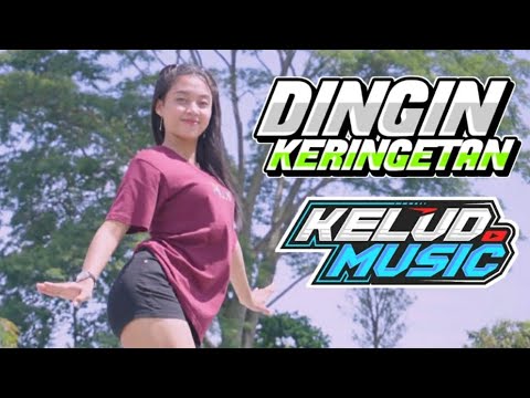 DJ DINGIN KERINGETAN BASS HOREGG - KELUD MUSIC REMIX