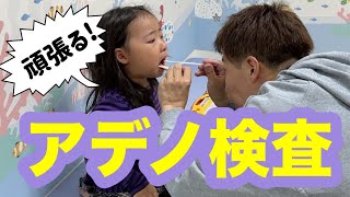 【この時期に!?💦】たねちゃんアデノに感染しました😭