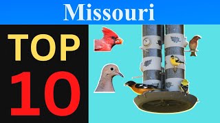 Top 10 Feeder Birds of Missouri [Brief] by Absorbed In Nature 204 views 3 months ago 2 minutes, 19 seconds