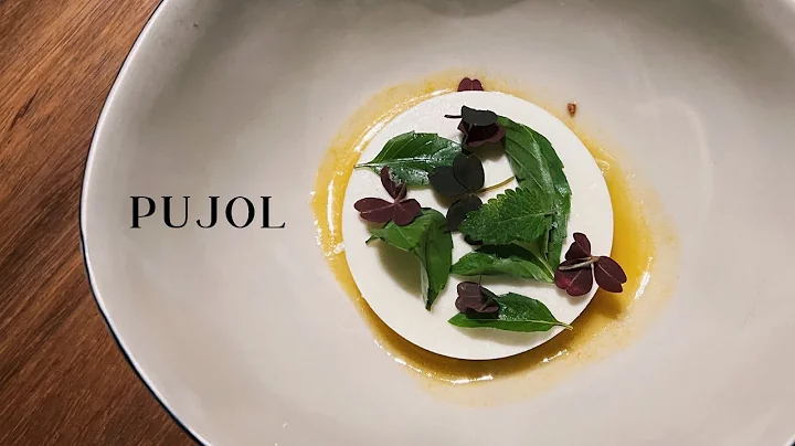 Pujol | $128 (Mex$2565) 6-Course Meal | Best Restaurant in North America | Mexico City🇲🇽