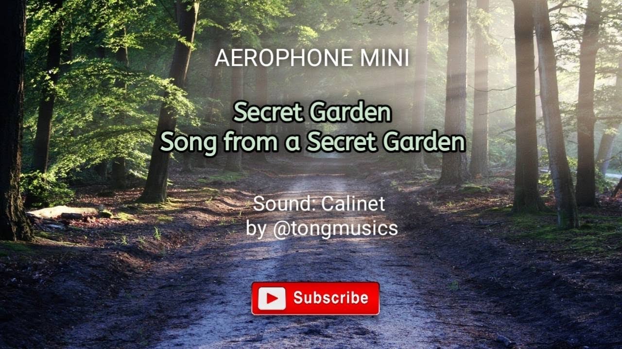 "Song from a Secret Garden" Aerophone Mini AE-01, Sound : Clarinet (EP10)
