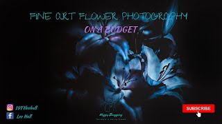 fine art flower photography on a budget