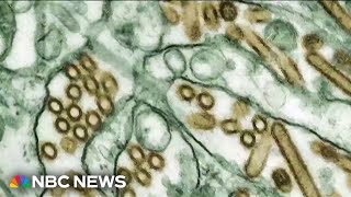 HHS cancels $766M in funding for Moderna to develop MRNA vaccine against bird flu