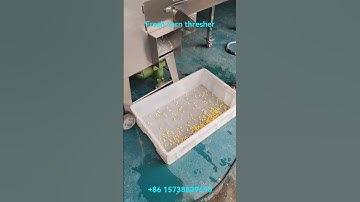 Fresh corn thresher machine