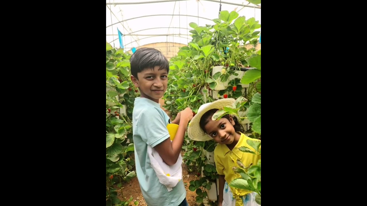 Saudi Arabia - Tourism - Riyadh