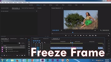 Adobe Premiere Pro CC 2017 Freeze Frame