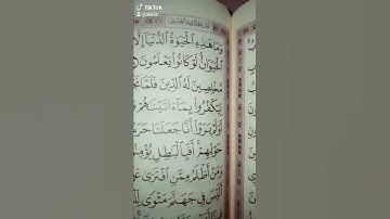 فإذا ركبوا في الفلك دعوا الله مخلصين.  سورة العنكبوت قراءة مميزة قرآن كريم