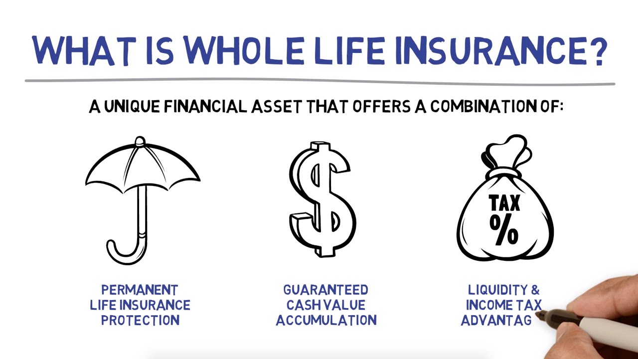 Whole Life Insurance Youtube