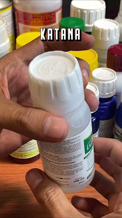 Jamur Phytopthora Mati, 8 Fungisida Kontak Sistemik Atasi Semua Busuk Cabe