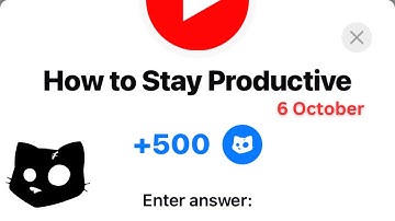 How to Stay Productive | Cats Video Code New | How to Stay Productive Part 1 Cats Answer