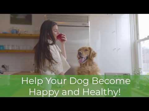 Video: Fat Loss Supplements For Pets