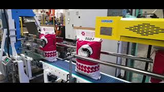 Famsun Packing Line 1