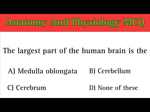 Anatomy And Physiology