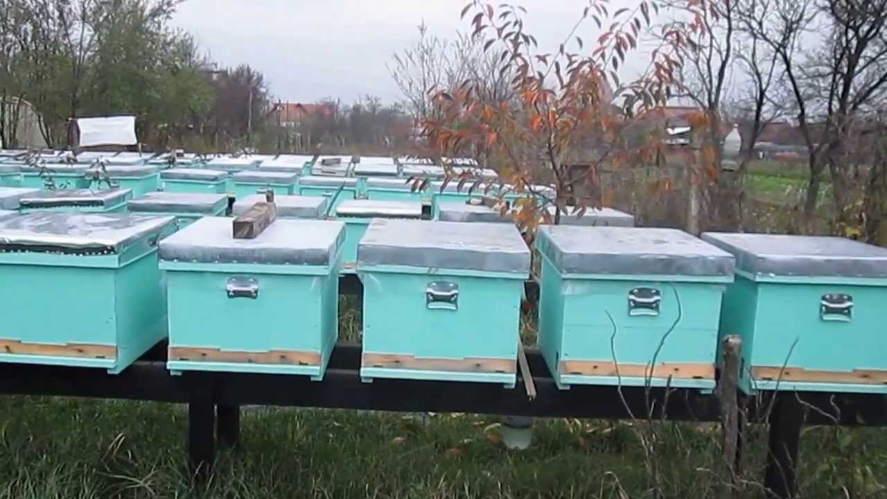 stupina incalzita electric 2013 nov 14