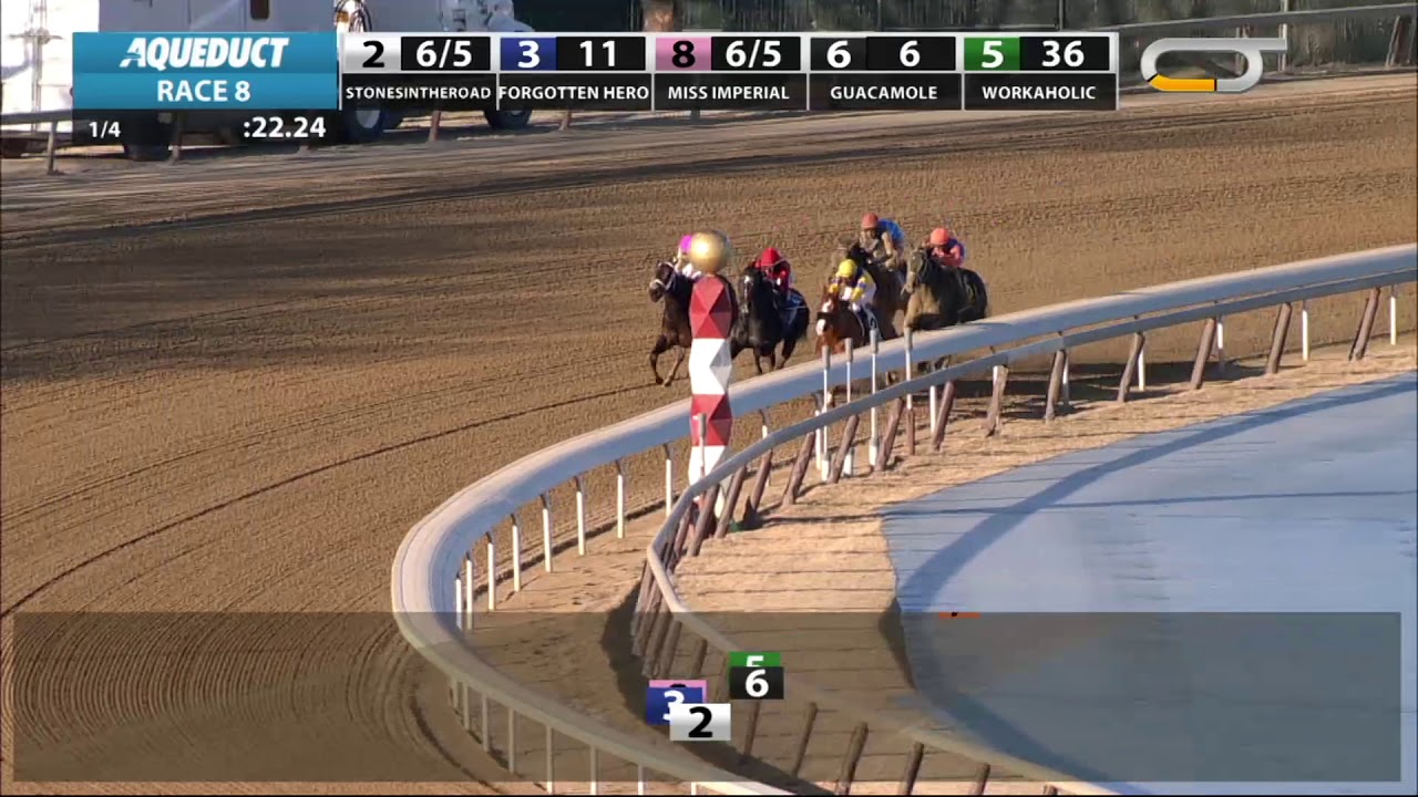 horse racing news Workaholic - 2019 - The Cicada Stakes