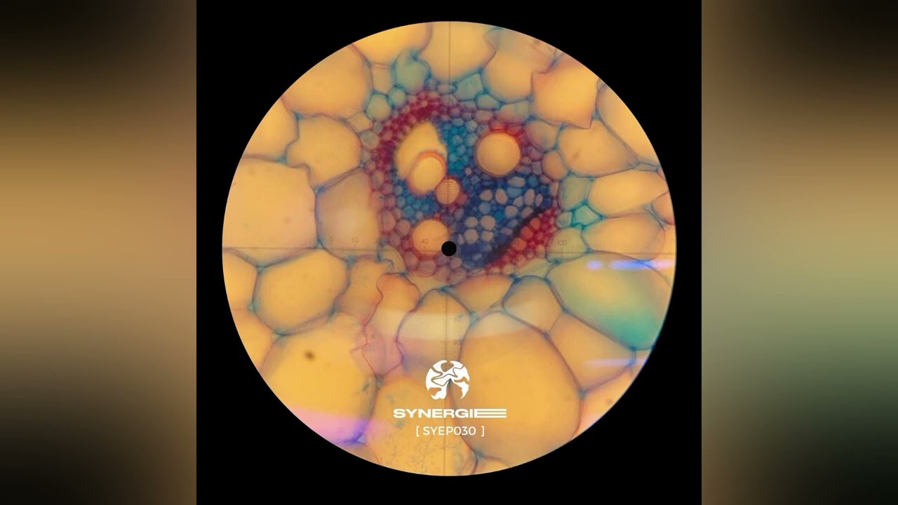 Colum Urton - Singular Language