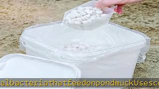 Airmax MuckAway Natural Beneficial Bacteria for Outdoor Ponds & Lakes, Muck, Sludge & Noxious Odor