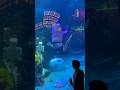 These Mermaids Get Festive For Halloween In Las Vegas! | Perez Hilton #Mermaids #LasVegas #Vegas