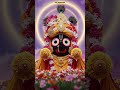 jay jagannath 🫀🌍#joga#odisha #rathyatra #status #shortfeed #short #sanatan #hindu#suscribe