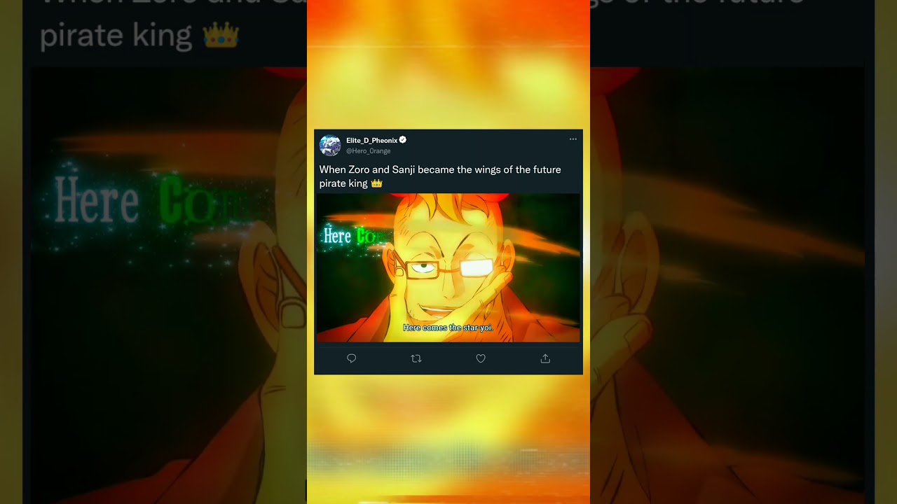 ["Wings of the future pirate king" ]#Zoro #Sanji #pirates #luffy