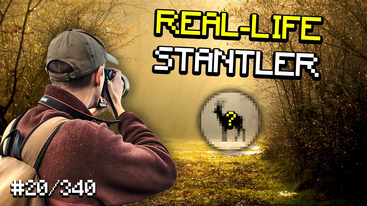 Найти «Стантлера» в реальной жизни (Заполнение реального покедекса)