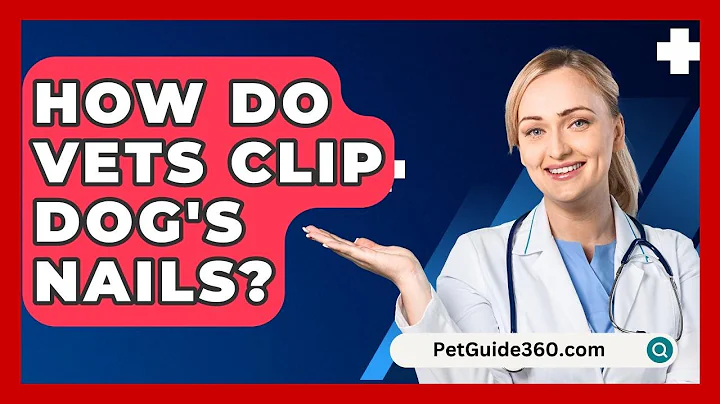 How Do Vets Clip Dog's Nails? - PetGuide360.com
