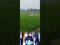 Drone Technology #drone #technology #shorts #agriculture #viralvideo