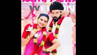 Sembaruthi Seriyal Bgm Aadhi Parvathi Parvathi Song Marriage Video Seriyal