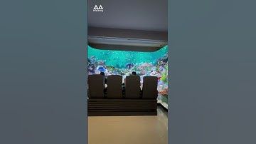 Immersive visual experience#leddisplay #ledscreen #ledvideowall #immersiveled #immersiveexperience