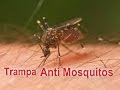 Trampa casera para Mosquitos - Evita los mosquitos en casa