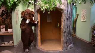 Bean It Like You Mean It Take A Bath Song, By The String Beans